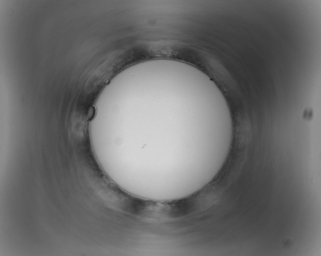 X0000112790125200909181522