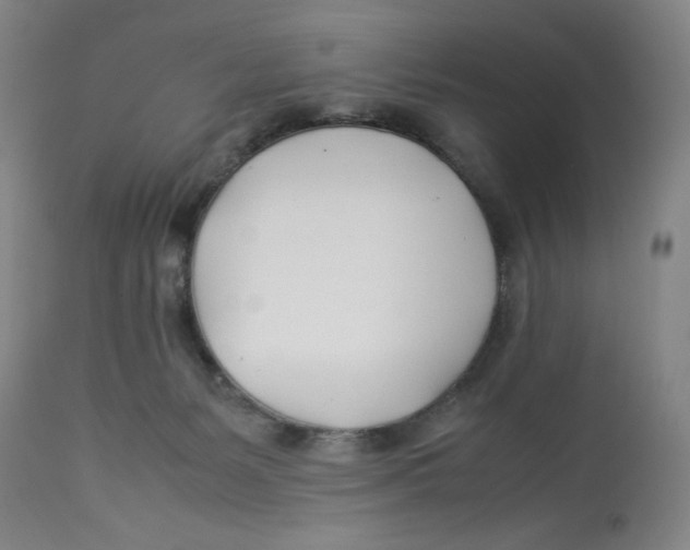 X0000112790127200909181522