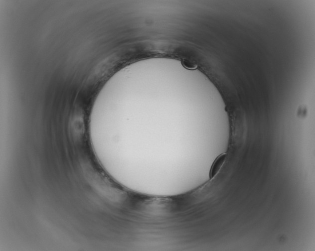 X0000112790128200909181522