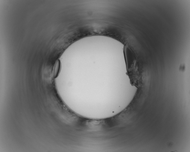 X0000112790129200909181522