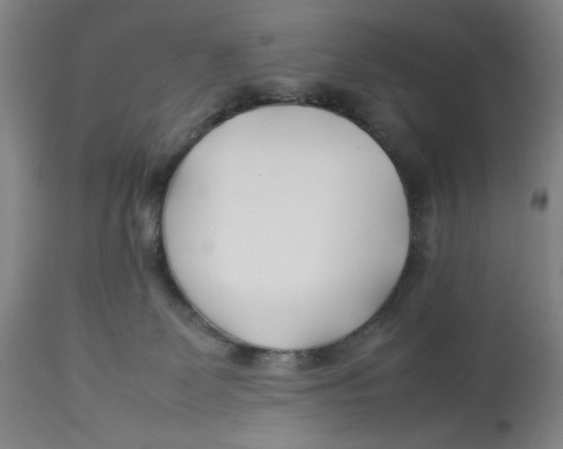 X0000112790131200909181522