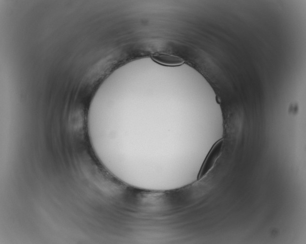 X0000112790132200909181522