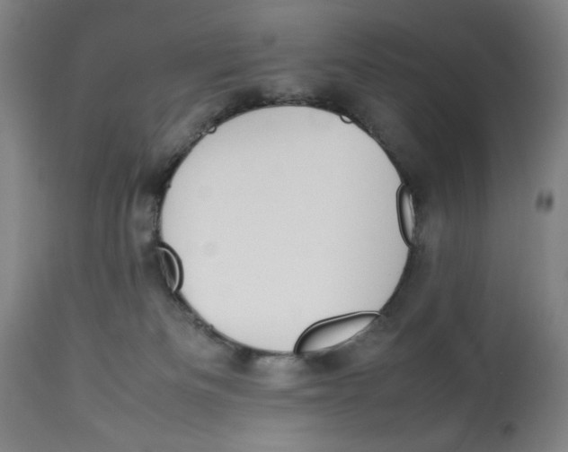 X0000112790133200909181522