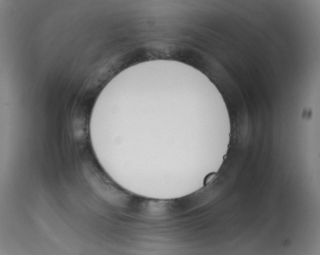 X0000112790134200909181522