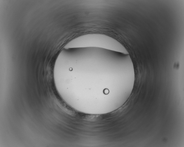 X0000112790136200909181522