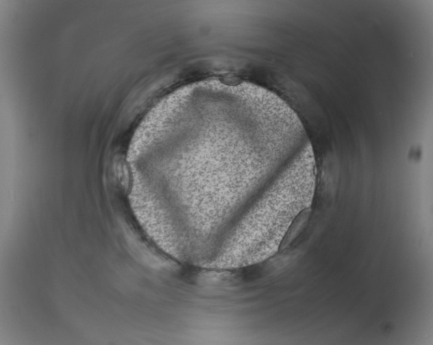 X0000112790137200909181522