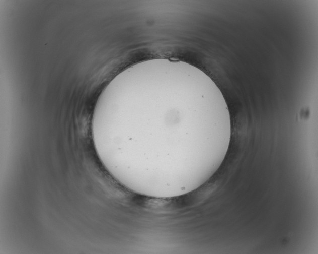 X0000112790139200909181522