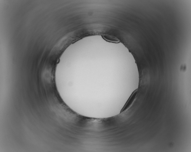 X0000112790140200909181522