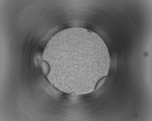 X0000112790142200909181522