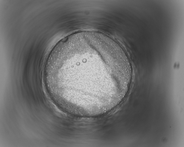 X0000112790145200909181521