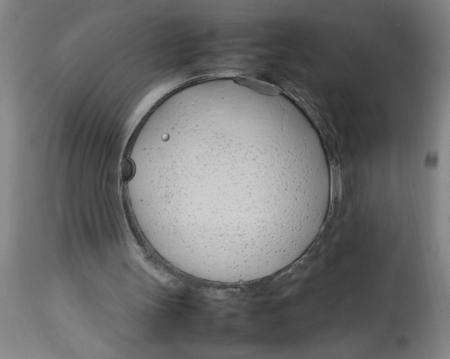 X0000112790147200909181521