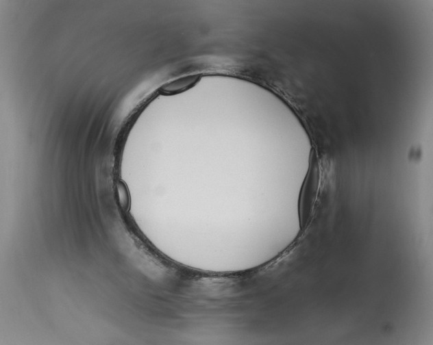 X0000112790150200909181521