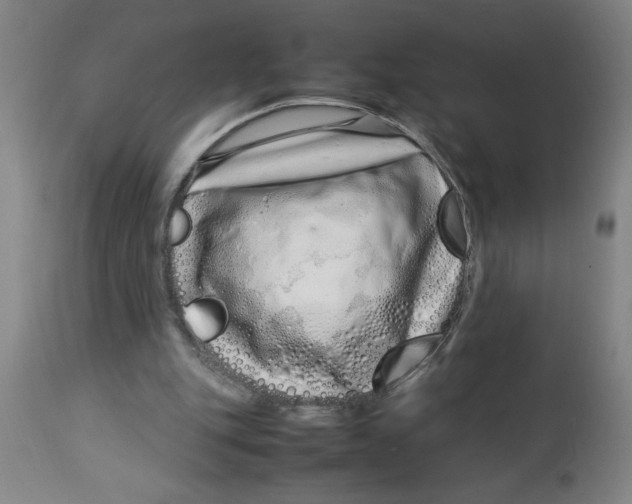 X0000112790151200909181522