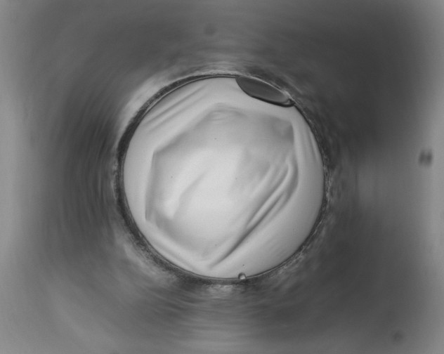 X0000112790152200909181522