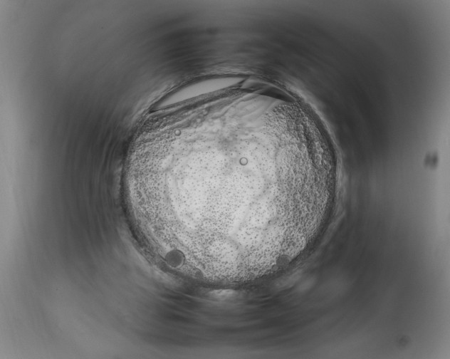 X0000112790153200909181522