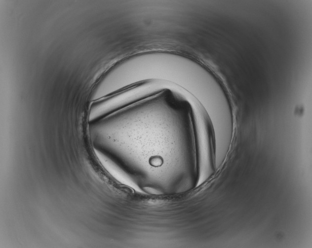 X0000112790154200909181522