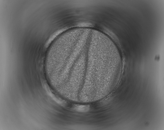 X0000112790155200909181522