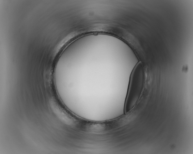 X0000112790156200909181522