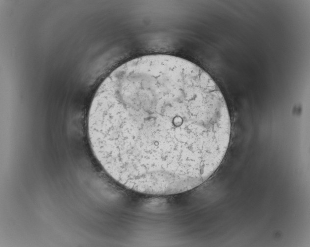 X0000112790162200909181522