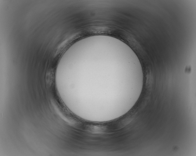 X0000112790165200909181522