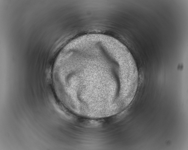 X0000112790166200909181522