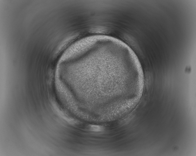 X0000112790167200909181522