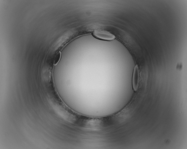 X0000112790168200909181522