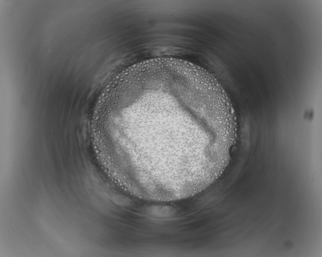 X0000112790169200909181522