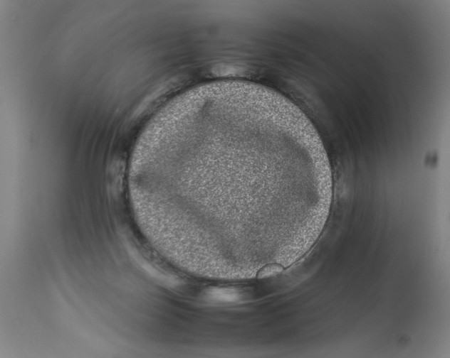 X0000112790171200909181522