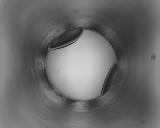 X0000112790172200909181522