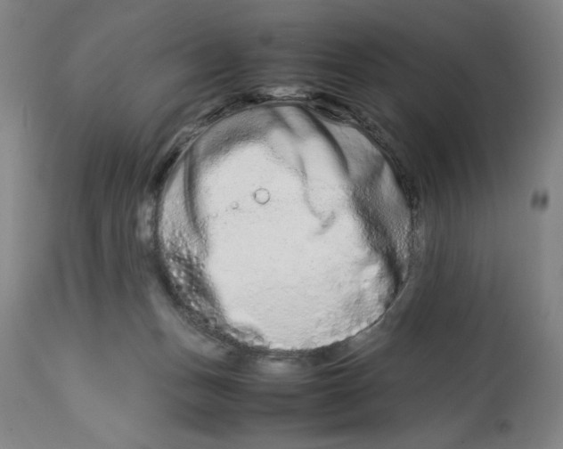 X0000112790175200909181522