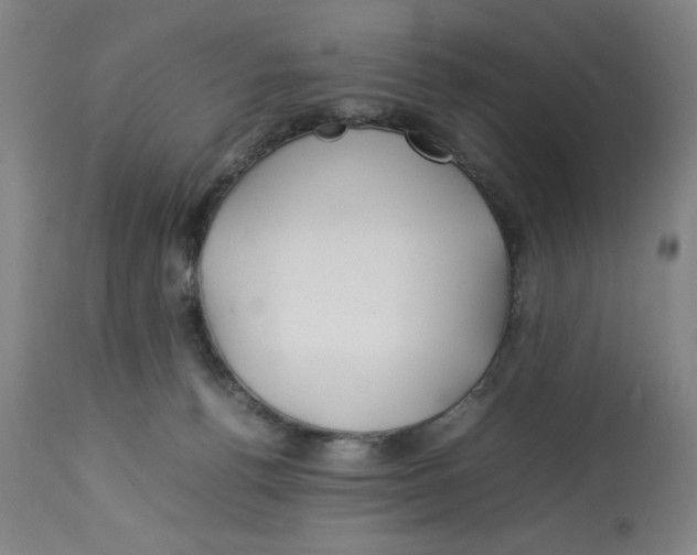 X0000112790176200909181522