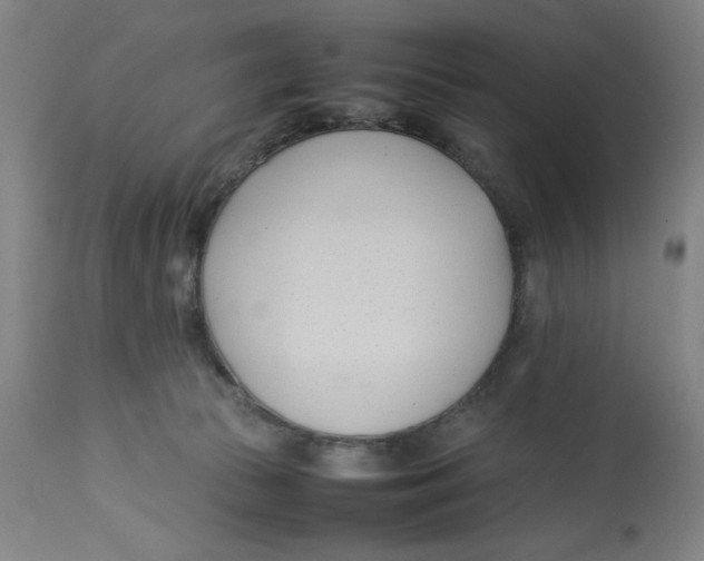 X0000112790177200909181522