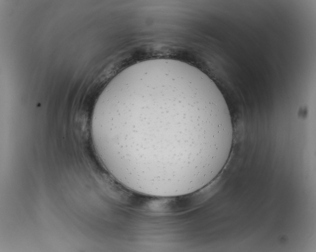 X0000112790178200909181522