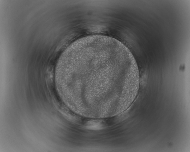 X0000112790179200909181522