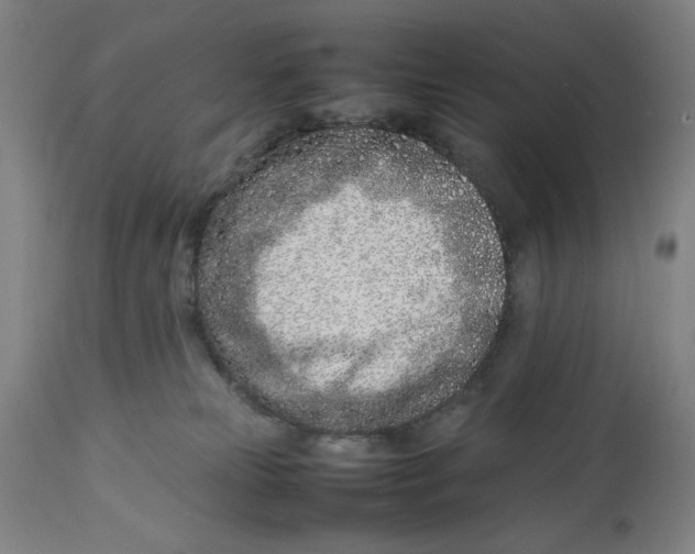 X0000112790181200909181522