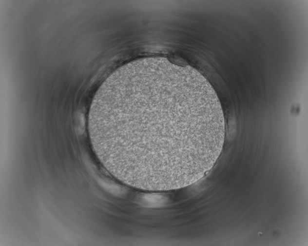 X0000112790183200909181522