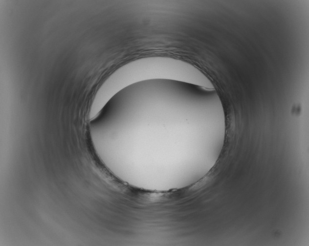 X0000112790184200909181522