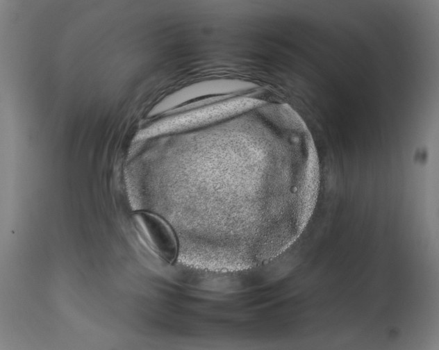 X0000112790185200909181522