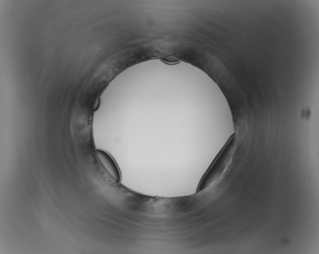 X0000112790186200909181522