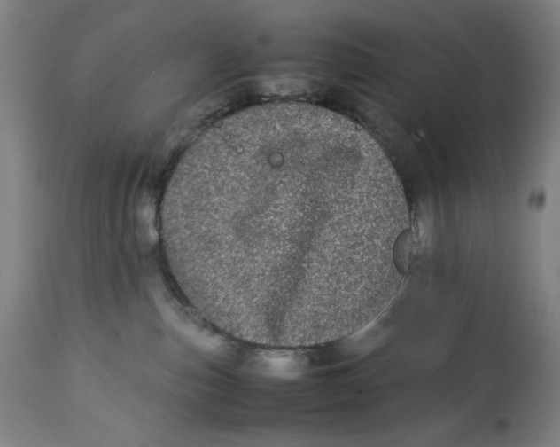 X0000112790187200909181522