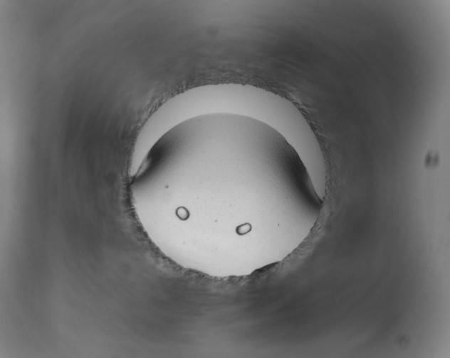 X0000112790192200909181522