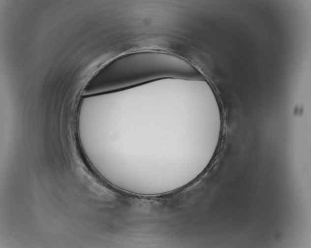 X0000112790193200909181521