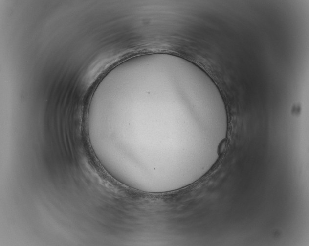 X0000112790194200909181521