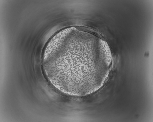 X0000112790195200909181521