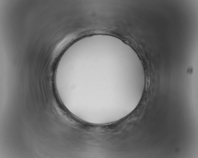 X0000112790197200909181521