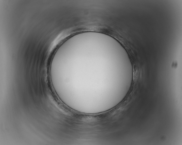 X0000112790198200909181521