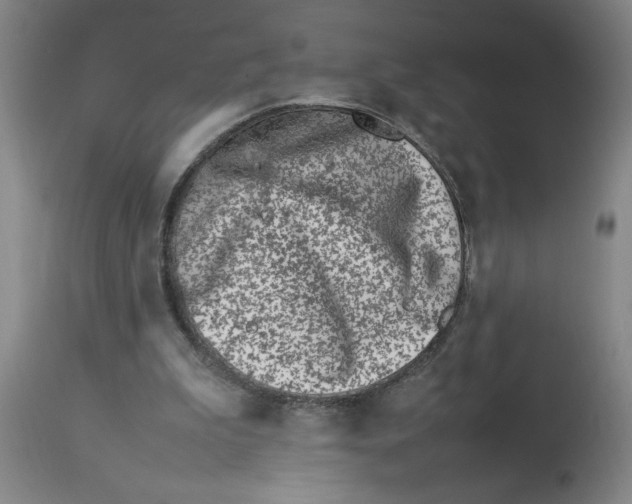 X0000112790199200909181521