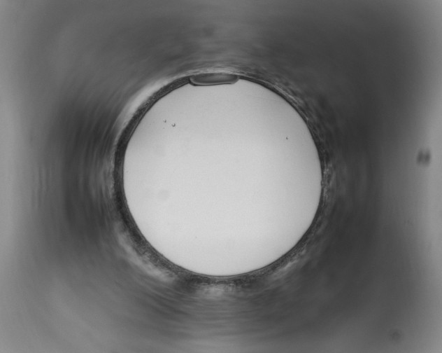 X0000112790200200909181521