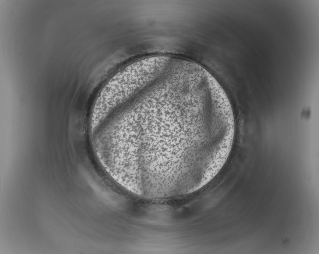 X0000112790203200909181521